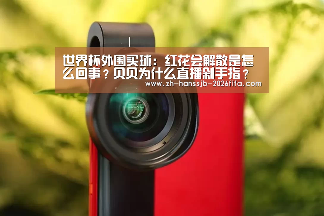 世界杯外围买球:红花会解散是怎么回事?贝贝为什么直播剁手指?(图1) 世界杯买球网站