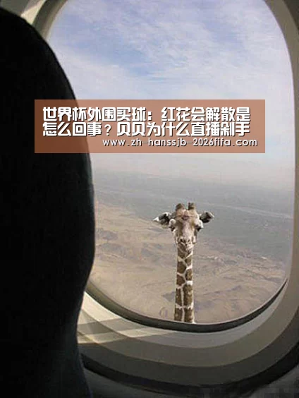 世界杯外围买球:红花会解散是怎么回事?贝贝为什么直播剁手指?(图4) 世界杯投注