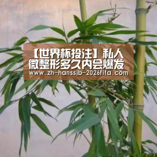世界杯买球网站
