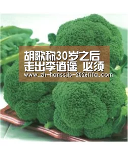 世界杯外围买球