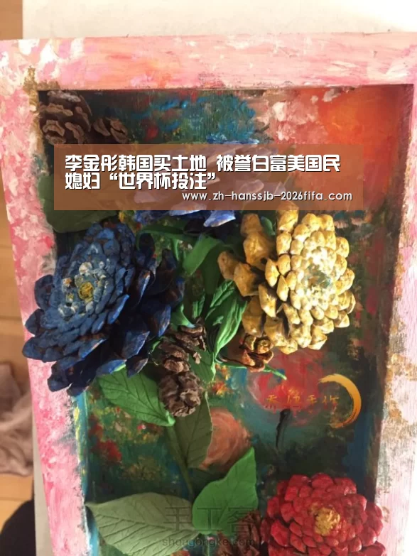 李金彤韩国买土地 被誉白富美国民媳妇“世界杯投注”(图2) 世界杯外围买球
