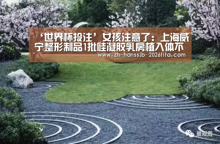 ‘世界杯投注’女孩注意了:上海威宁整形制品1批硅凝胶乳房植入体不合格(图2) 世界杯投注