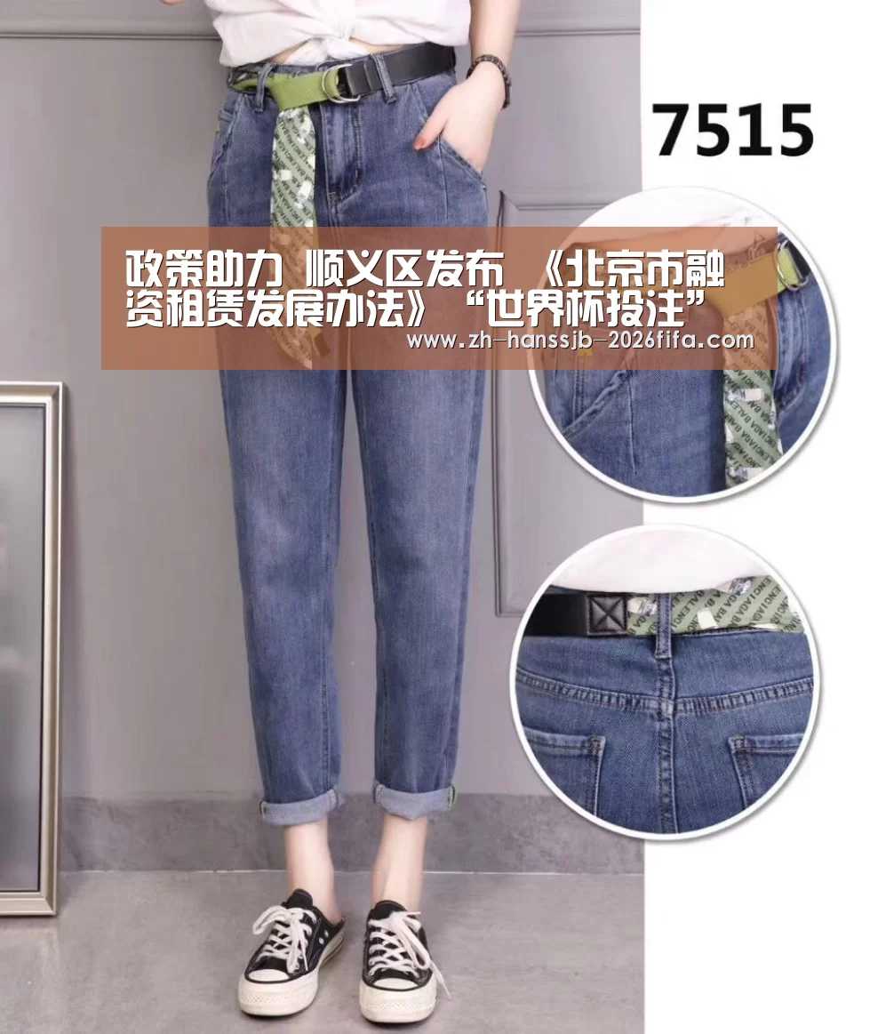 政策助力 顺义区发布 《北京市融资租赁发展办法》“世界杯投注”(图3) 世界杯买球网站