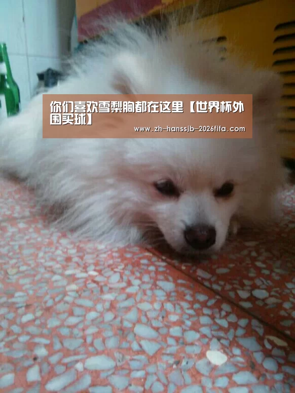 你们喜欢雪梨胸都在这里【世界杯外围买球】(图2) 世界杯外围买球