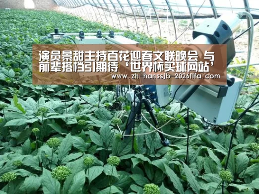 世界杯投注