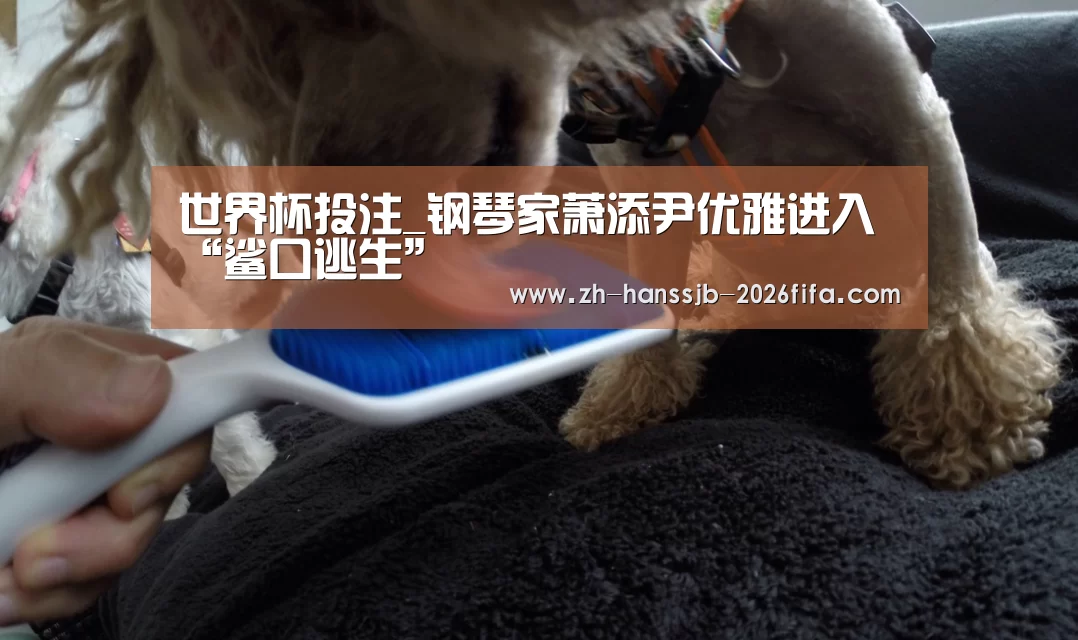 世界杯投注_钢琴家萧添尹优雅进入“鲨口逃生”(图2) 世界杯外围买球