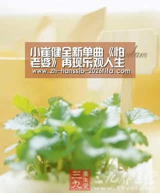 世界杯外围买球